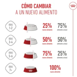 Royal Canin X-Small Puppy ração para cães