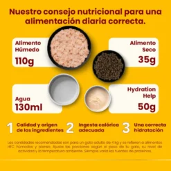 Sachê de caldo de salmão Almo Nature HFC Hydration Help para gatos