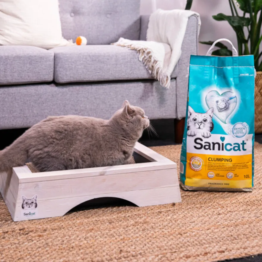Sanicat Cumpling Areia Aglomerante para gatos
