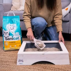 Sanicat Cumpling Areia Aglomerante para gatos