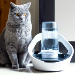 Sure Petcare Felaqua Connect Bebedouro automático para gato