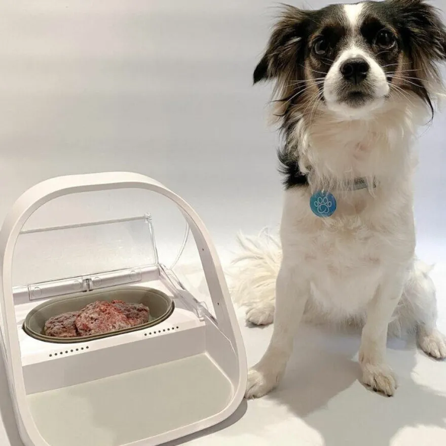 Sure Petcare Surefeed Comedouro Automático com Microchip