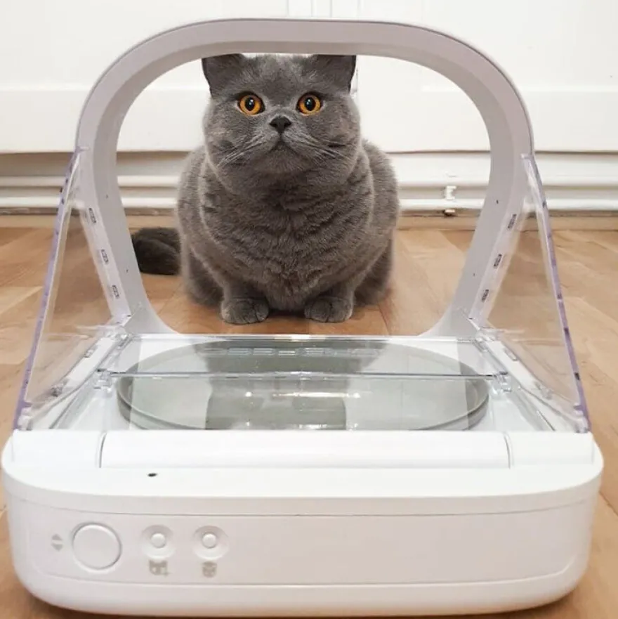 Sure Petcare Surefeed Comedouro Automático com Microchip
