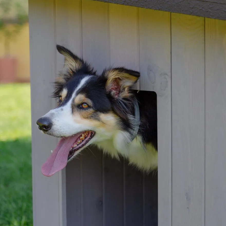 TK-Pet Lake Casota de Madeira para cães