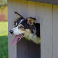 TK-Pet Lake Casota de Madeira para cães