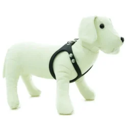 TK-Pet Namur Peitoral de Couro Preto para cães