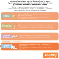 Tootoy! Chase & Play Fun set Kit de brinquedos para gatos