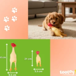 Tootoy! Chew Brinquedo galinha de quinta para cães