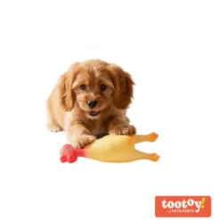 Tootoy! Chew Brinquedo galinha de quinta para cães