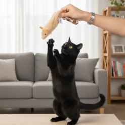 Tootoy! Interactive & Stimulate Brinquedo Esquilo interativo para gatos