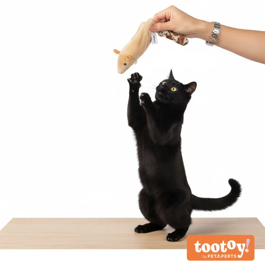 Tootoy! Interactive & Stimulate Brinquedo Esquilo interativo para gatos