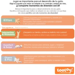 Tootoy! Interactive & Stimulate Leão de peluche com catnip para gato