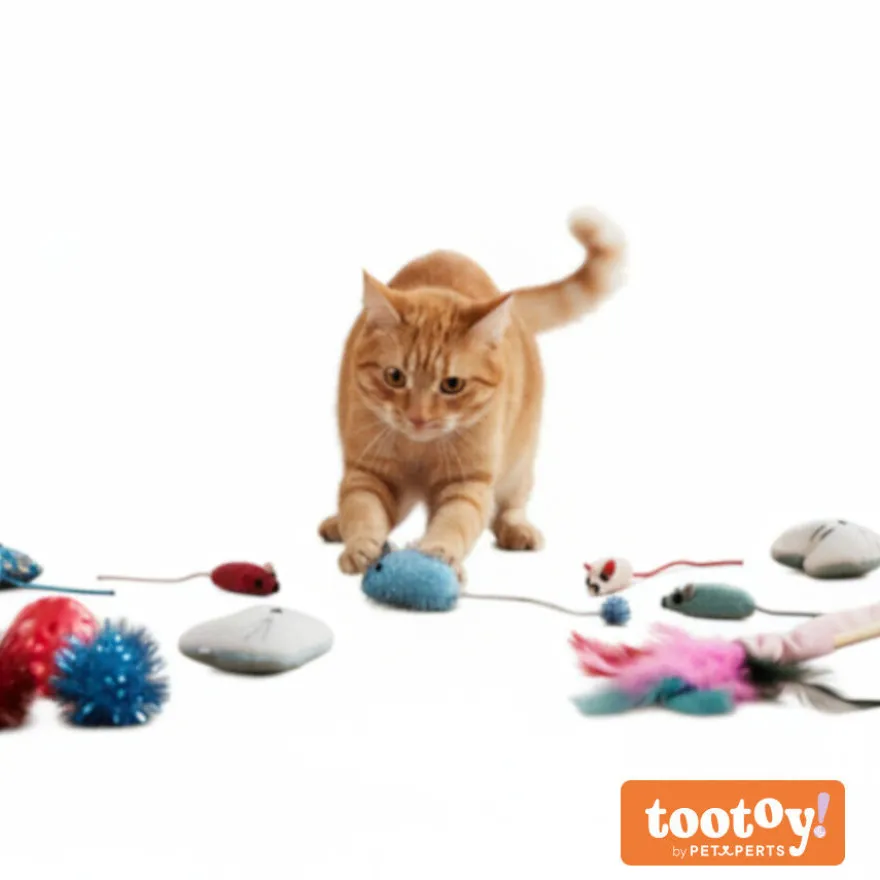 Tootoy! Kitten Caixa de presentes para gatinhos