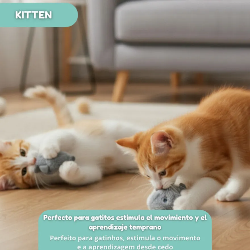 Tootoy! Kitten Ratinho para gatos