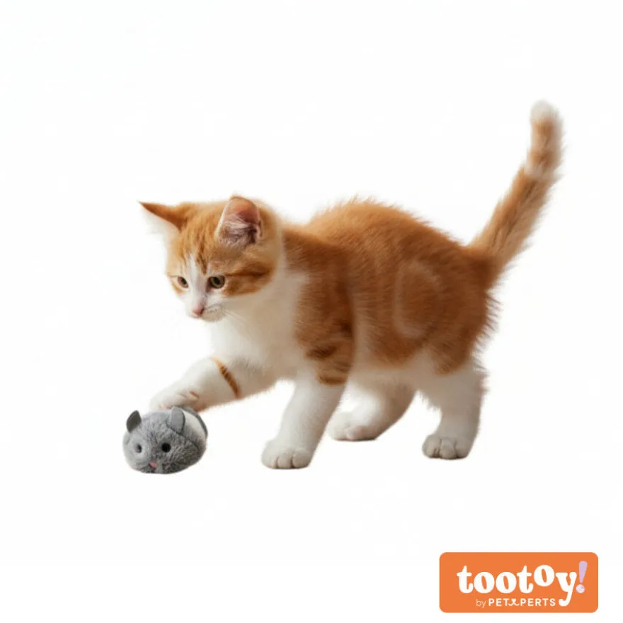 Tootoy! Kitten Ratinho para gatos