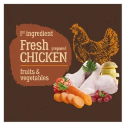True Origins Adult Pure Frango No Grain ração para cães