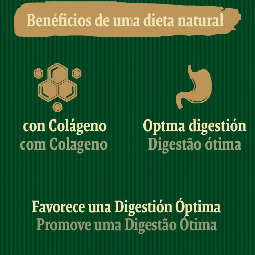 True Origins Digestion Chewing Sticks Snack para cães