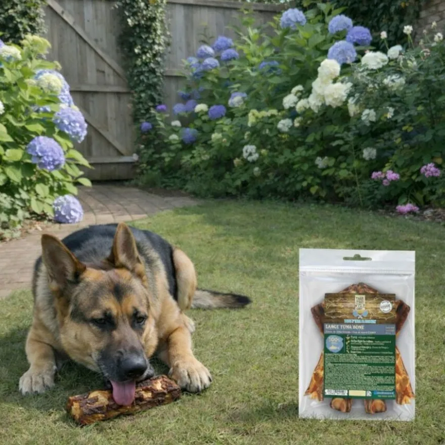 True Origins Osso de Atum Grande Snack para cães