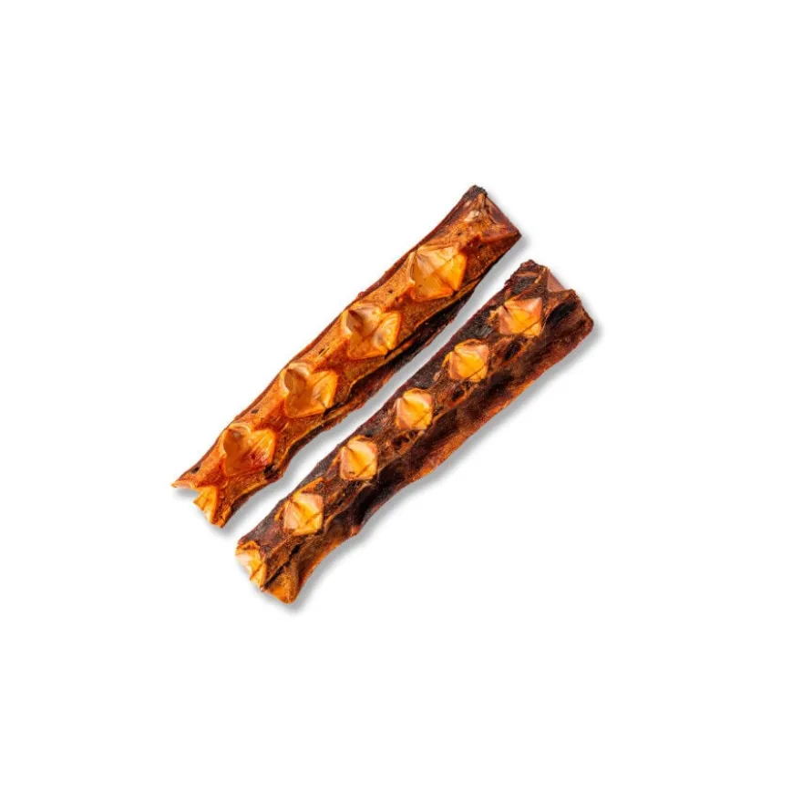 True Origins Osso de Atum Grande Snack para cães