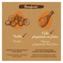 True Origins Pure Adult Frango ração para gatos