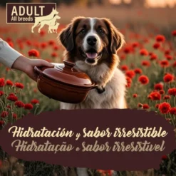 True Origins Pure Adult Gently Coocked Comida húmida de vitela e abóbora em saqueta para cães