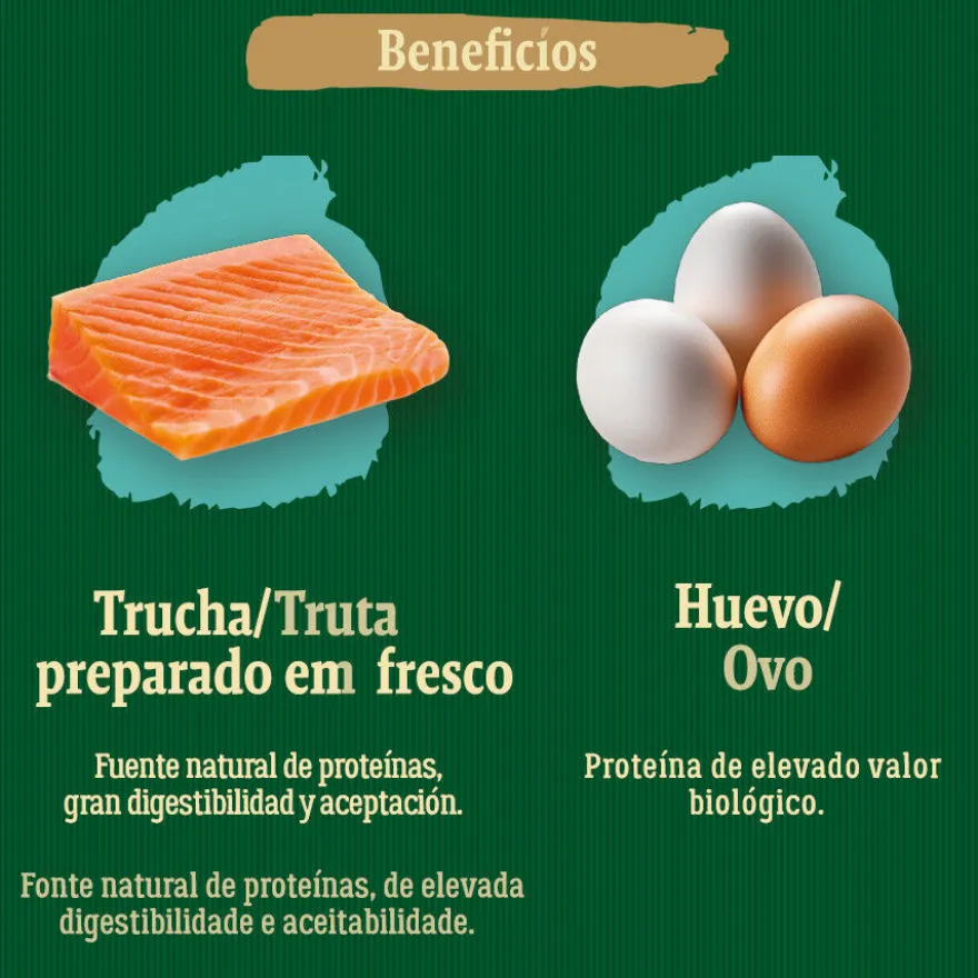 True Origins Wild Ocean River Salmão e Truta ração para gatinhos