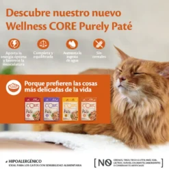 Wellness Core Adult Purely Frango em Patê Saqueta para gatos