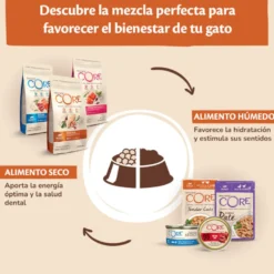 Wellness Core Adult Purely Frango em Patê Saqueta para gatos