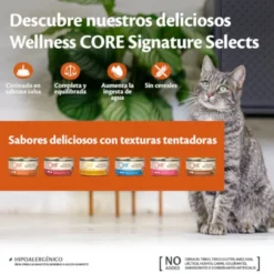 Wellness Core Chunky frango e peru lata para gatos