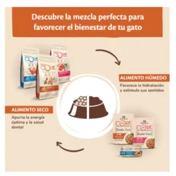 Wellness Core Kitten Peru e Frango ração para gatos