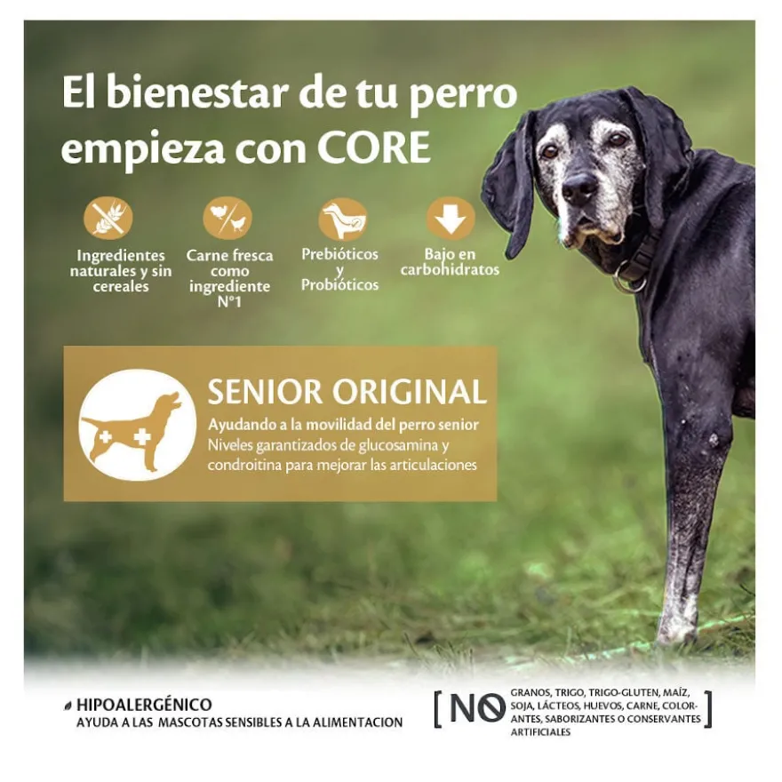 Wellness Core Senior Frango e Peru ração para cães