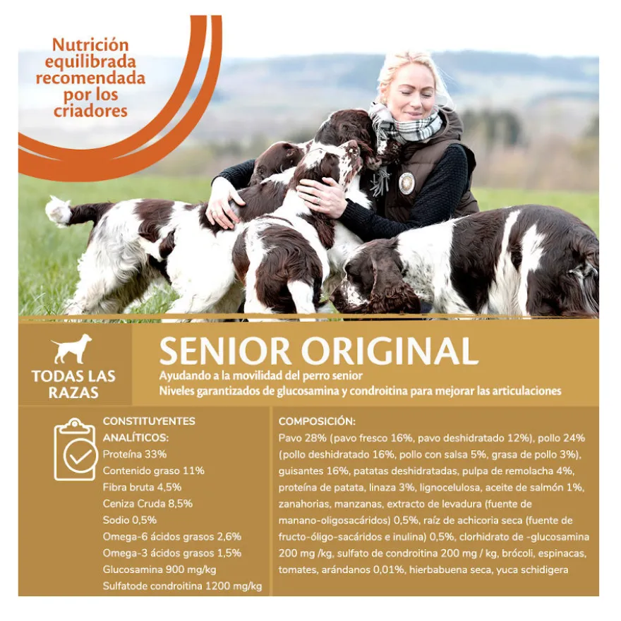 Wellness Core Senior Frango e Peru ração para cães