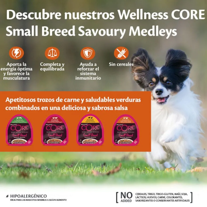 Wellness Core Small Breed Grain Free Frango e Peru Terrina para cães