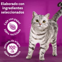 Whiskas Duo Meat Combos Sachê de Geléia para Gatos