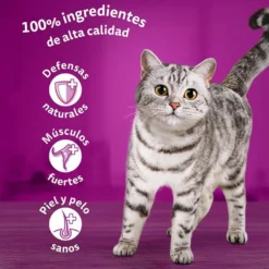 Whiskas Sabor Aves Geleia em Saqueta para Gatos - Multipack