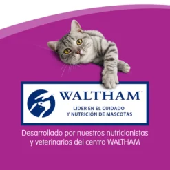 Whiskas Sticks Snacks Salmão para Gatos