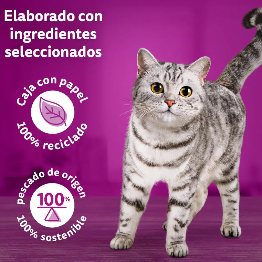 Whiskas Tasty Mix Seleção do Chef Patê em molho saquetas para gatos