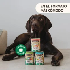 Wild Balance BARF de Salmão e Vitela em lata para cães