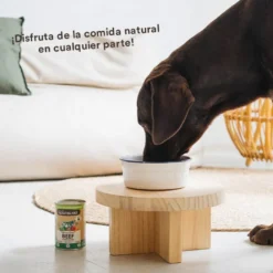 Wild Balance BARF de Vitela e Legumes em lata para cães