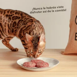 Wild Balance BARF Frango com Legumes Frescos alimentação natural congelada para gatos