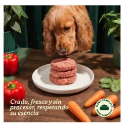 Wild Balance BARF Frango e Legumes alimentação natural congelada para cães