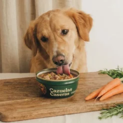 Wild Balance caçarola caseira de salmão, frango e pera para cães