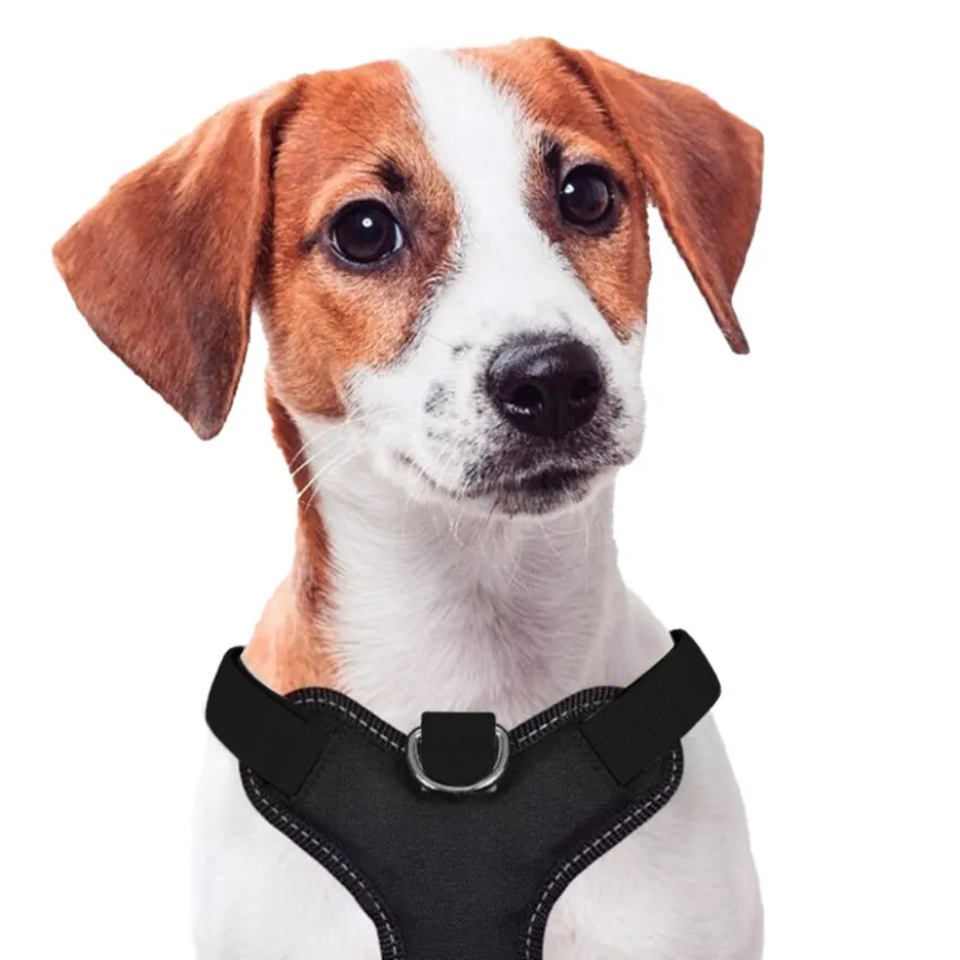 X-TRM Cronos Neon Flash Peitoral Preto para cães